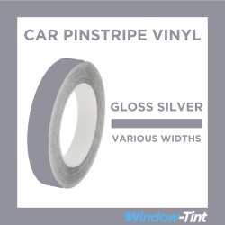 Gloss Silver Pin Stripe Vinyl